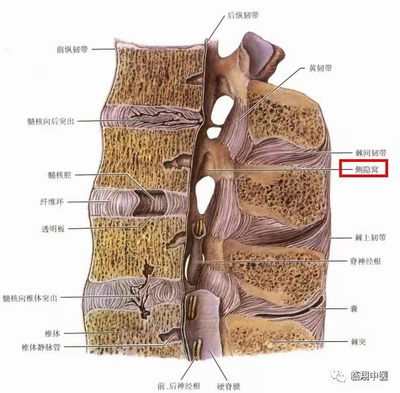 調(diào)整大小 微信圖片_20231008163757.png